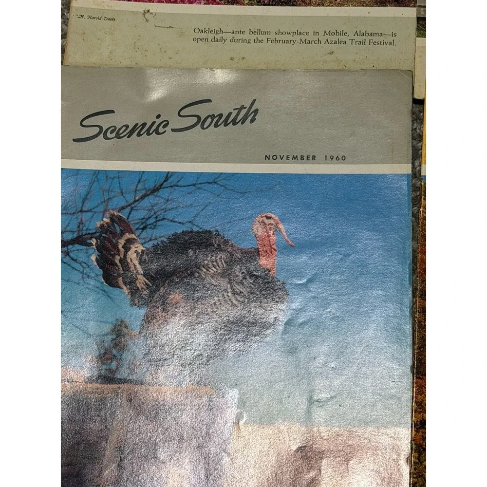 Vintage Scenic South Magazine Lot of 9 1952-1967 Southern Travel Florida Georgia